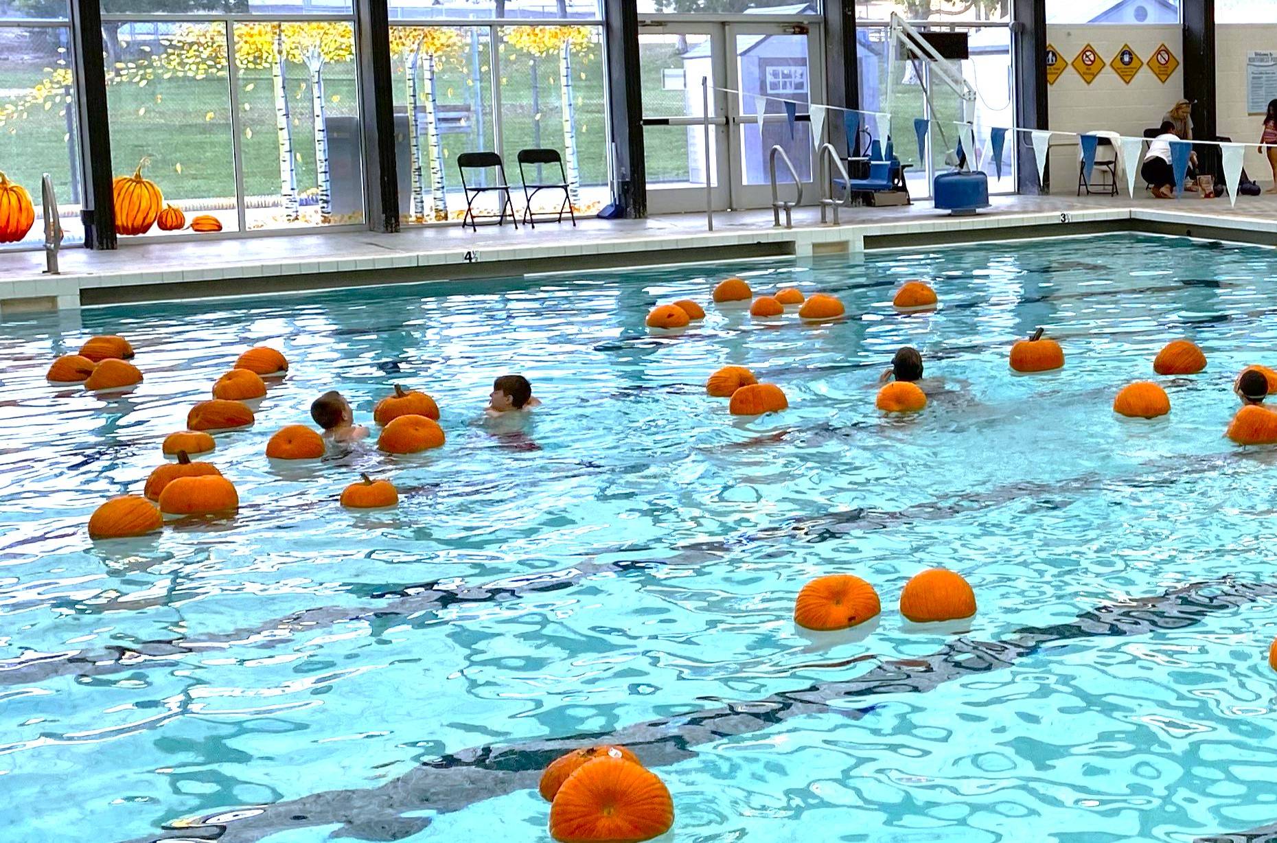 Pumpkin Plunge Image - Copy